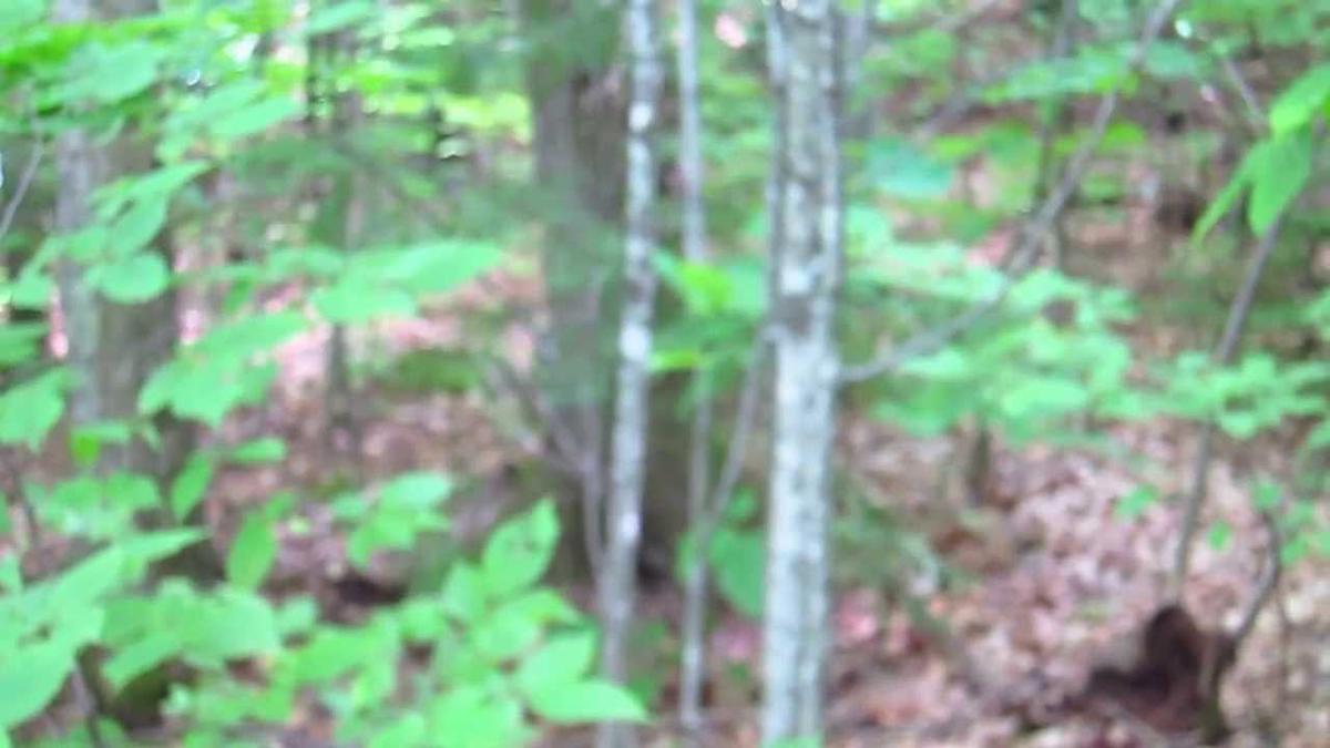 Humix video