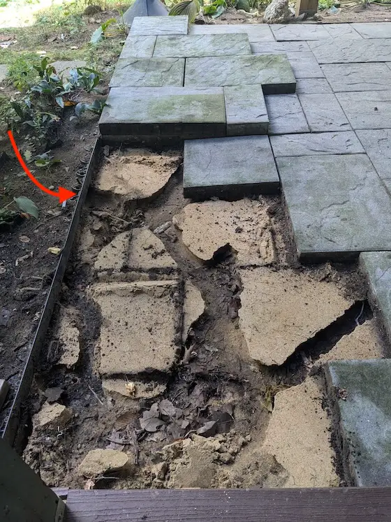 chipmunk tunnel maze under patio pavers