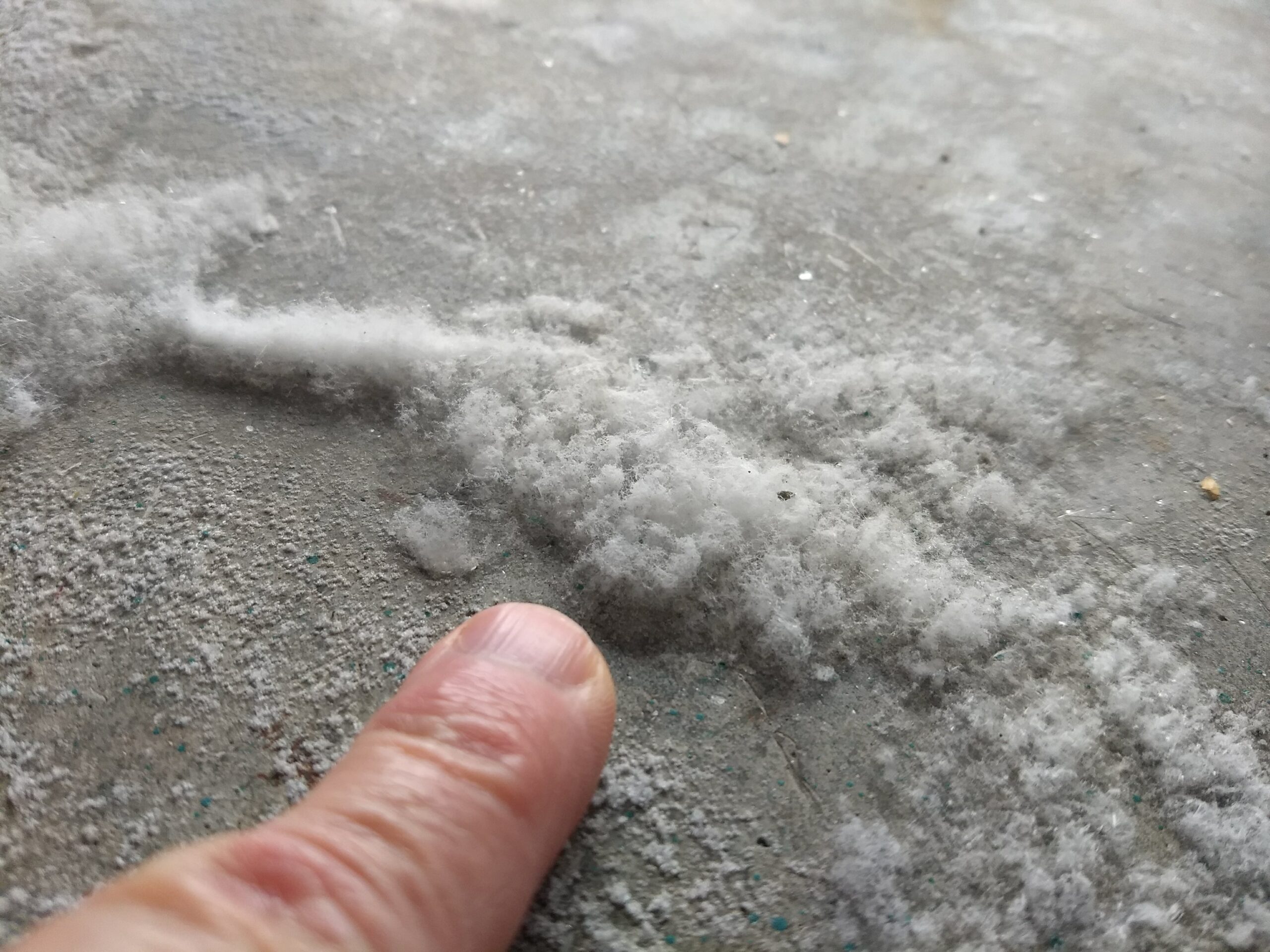 efflorescence crystals on a concrete slab